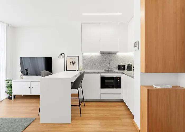 New Luxurious, Spacious With Parking Apartman Vila Nova de Gaia